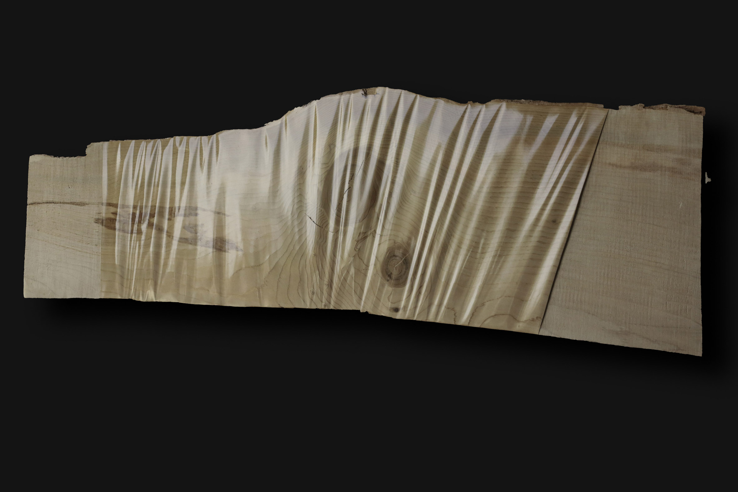 Grand cèdre filmé